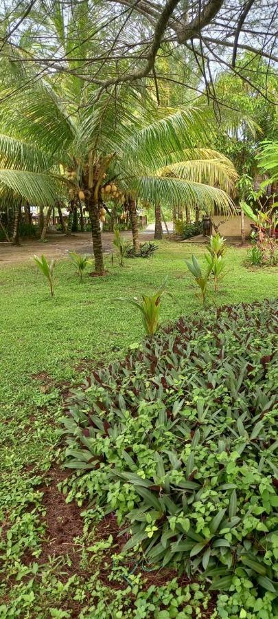 Selong Belanak Bungalows Kültér fotó